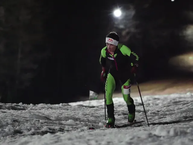 Lumarjev Vertikal
