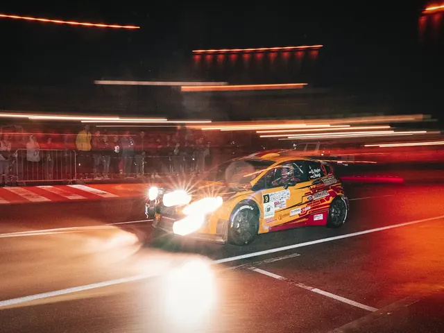 Vipava Rally (Day 1)